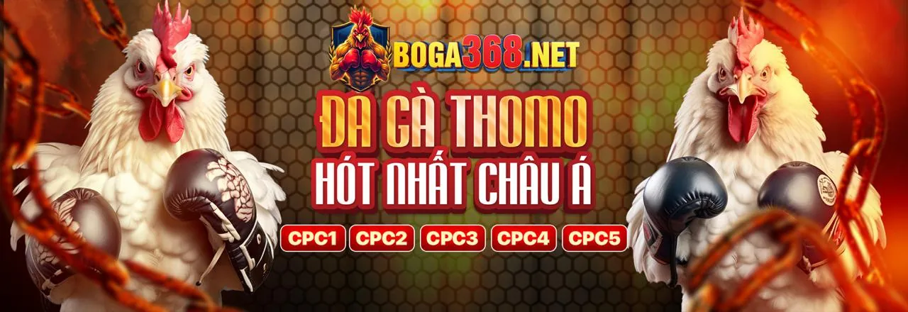 Giao diện ứng dụng betvip trang chủ với các tính năng nổi bật